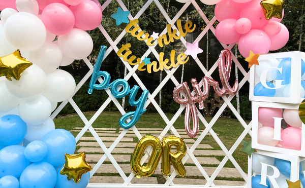 Twinkle Twinkle Little Star Gender Reveal Decorations - Includes Gender Reveal Balloon Arch Garland & GIRL BOY Balloon Boxes & Gender Reveal Balloon and More – Gender Reveal Ideas