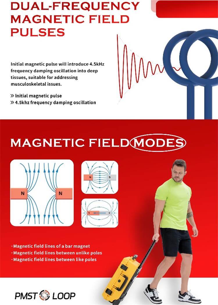 Máquina pemf de campo electromagnético pulsado portátil de doble frecuencia