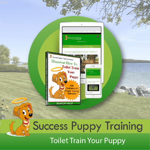 Toilet Train Your Puppy - Online Course (Success Puppy Training)