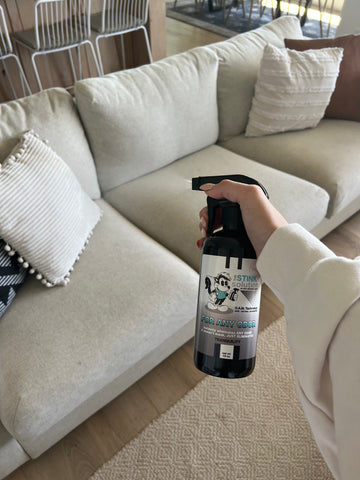 Eliminate Couch Odors