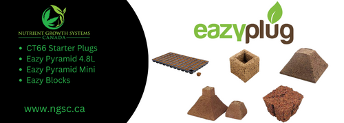 Eazy Plugs Website Banner.png__PID:c407e1b9-1078-4cdd-bacf-1dd1a44e67e4