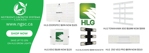 HLG Light Sale Website Banner.png__PID:e60c314f-efbb-4017-9502-972b5332e0b0