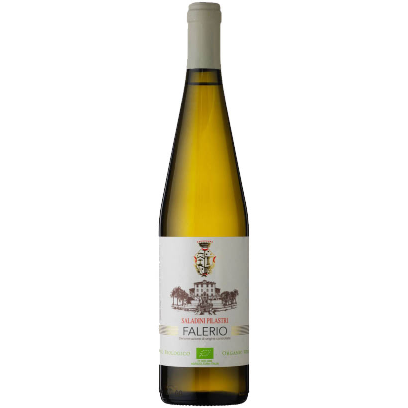 Falerio Saladini Pilastri 2018 White Wine