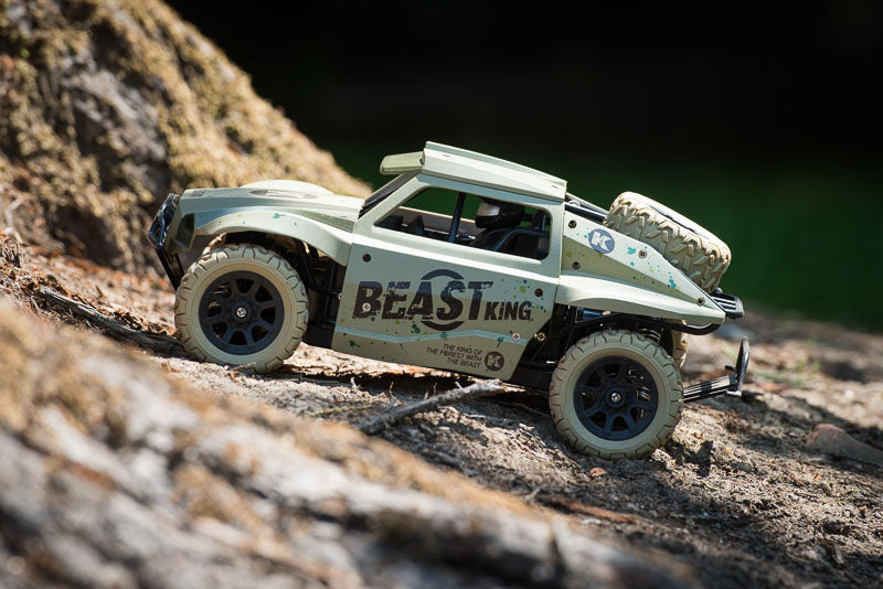 beast king rc car