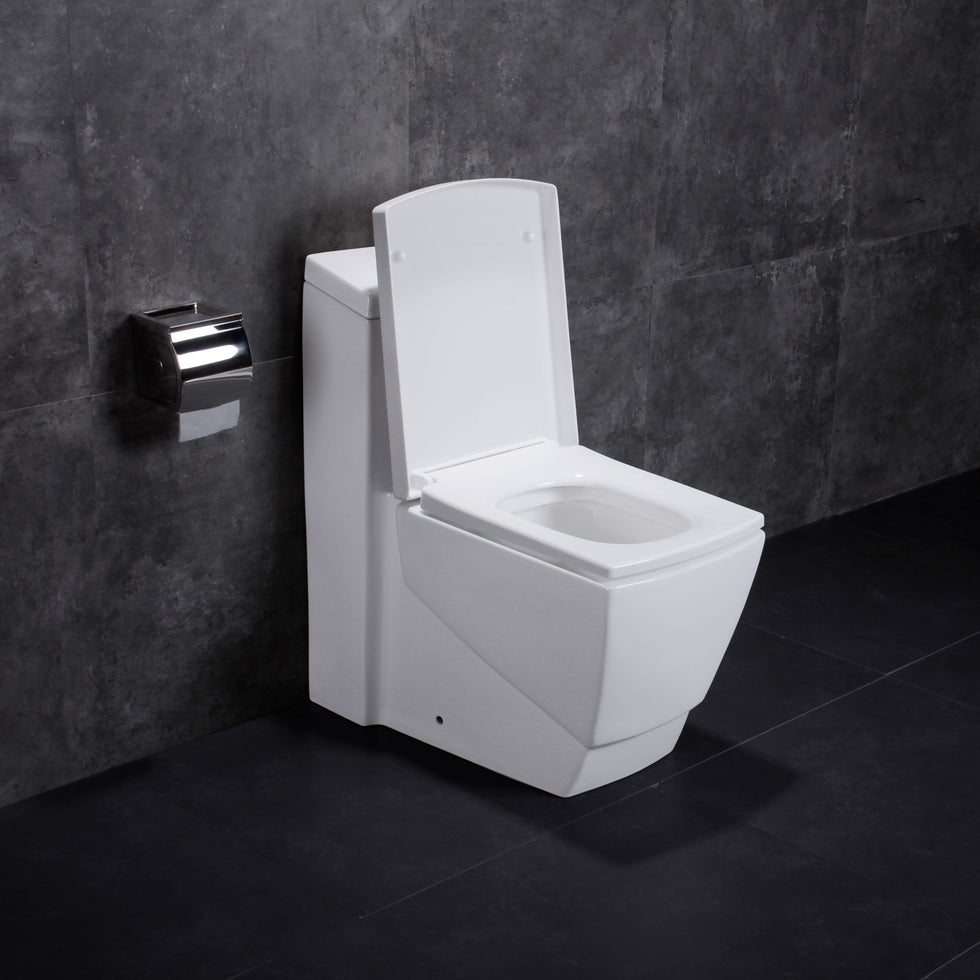 Dual Flush One Piece Modern Lt5 Toilet Lesscare Toilets