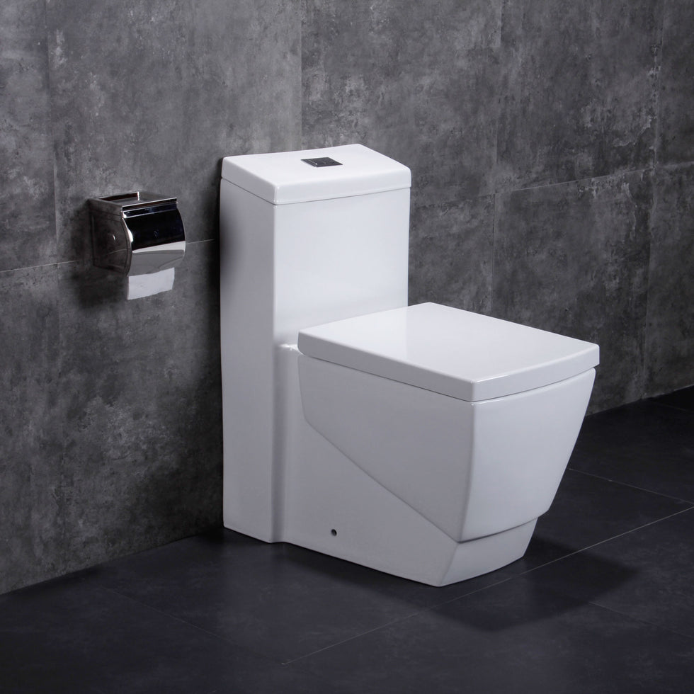 Dual Flush One Piece Modern Lt5 Toilet Lesscare Toilets