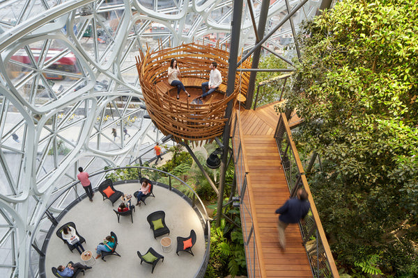 The Spheres - Seattle, Washington - Biophilic Design | Human Nature Designs