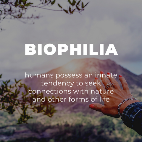 What is Biophilia? | Human Nature Designs