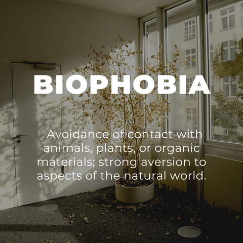 What is Biophobia? The Fear of Nature, Explained. | Human Nature Designs
