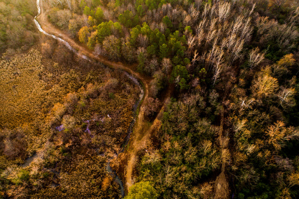 Autumn Across America - Alabama