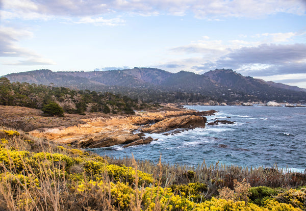 Autumn Across America - California