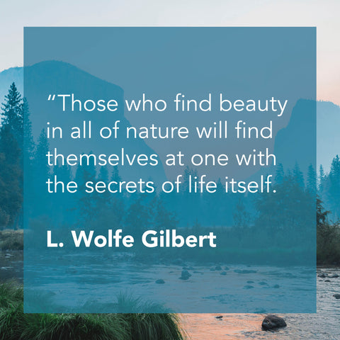 My 15 Favorite Reflections on Nature (that aren’t from John Muir ...