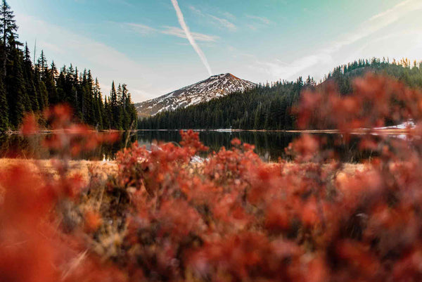 Autumn Across America - Oregon