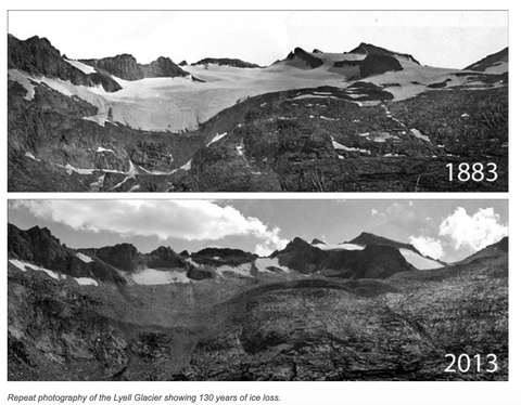 Lyell Glacier - Ice loss