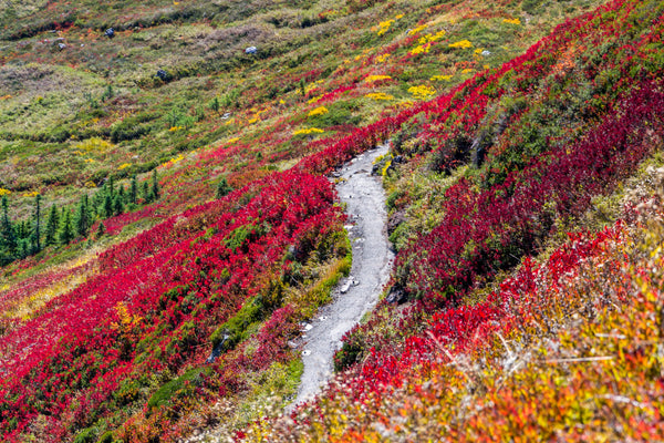 Autumn Across America - Washington