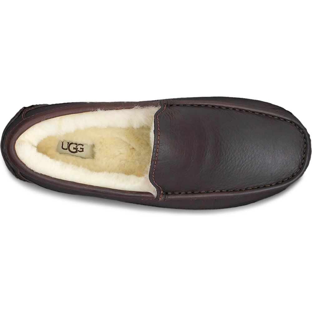 ascot leather slipper ugg