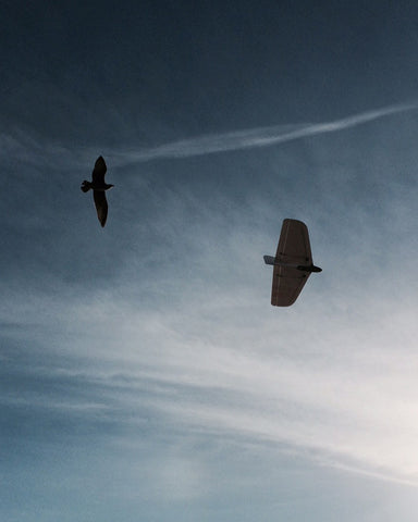 weasel rc glider