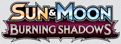 sun and moon burning shadows logo