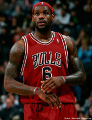 lebron bulls