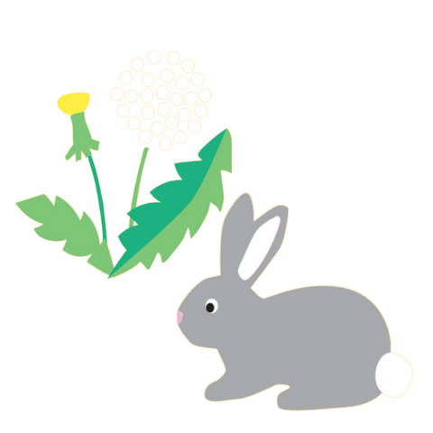 Toby Tiger Bunny & Dandelion