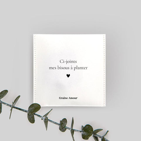 Etiquette cadeau à planter - les messages du père noël - graines