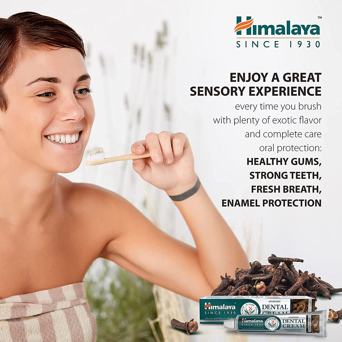 Himalaya Ayurvedic Dental Cream Herbal Toothpaste - Clove - 100 g