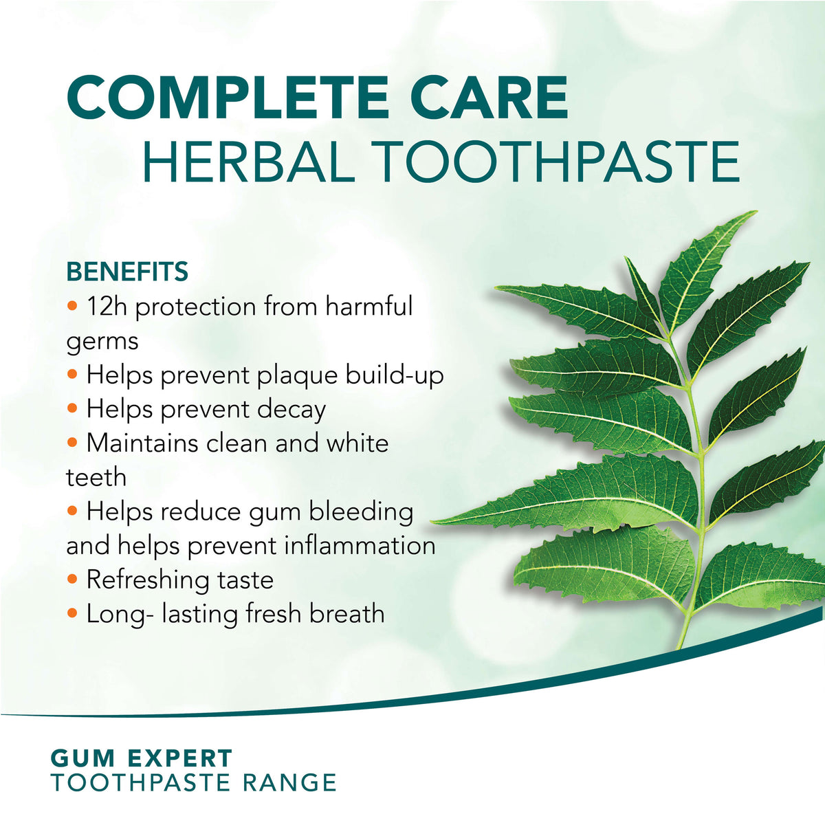 Himalaya Gum Expert Herbal Toothpaste - Complete Care - 75ml