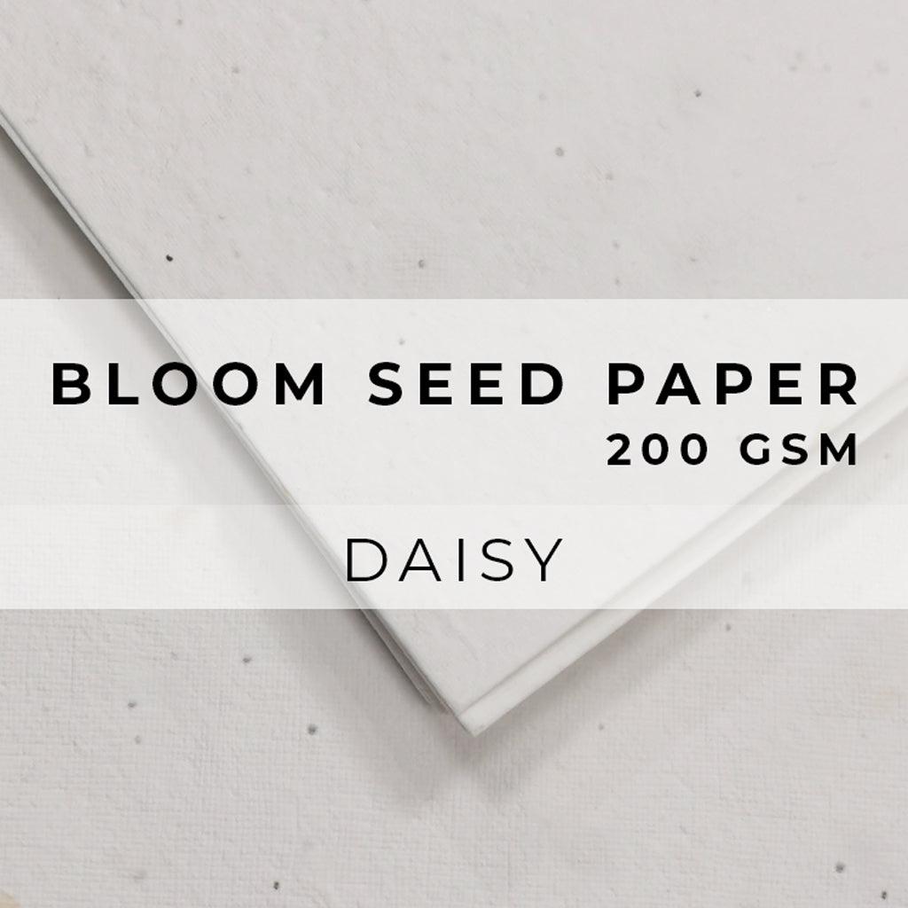 Biodegradble Premium Eco-Friendly Compostable Plantable Printable Handmade Seed  Paper 200GSM Colors - Desert Orange - Blank Sheets A4 - China Seed Paper,  Printer Paper