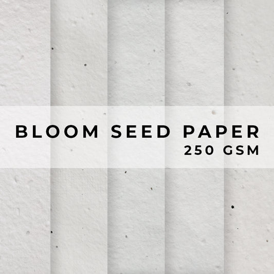Seed Paper ECO Cotton Range Paper - 300gsm Blank Paper Little Green Pa –  Little Green Paper Shop