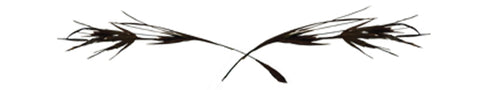 kangaroo grass logo