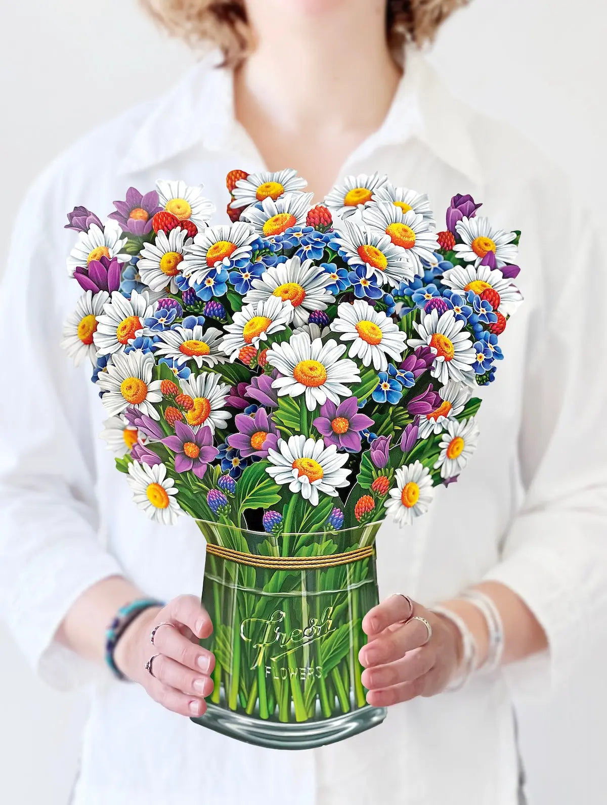 Field of Daises