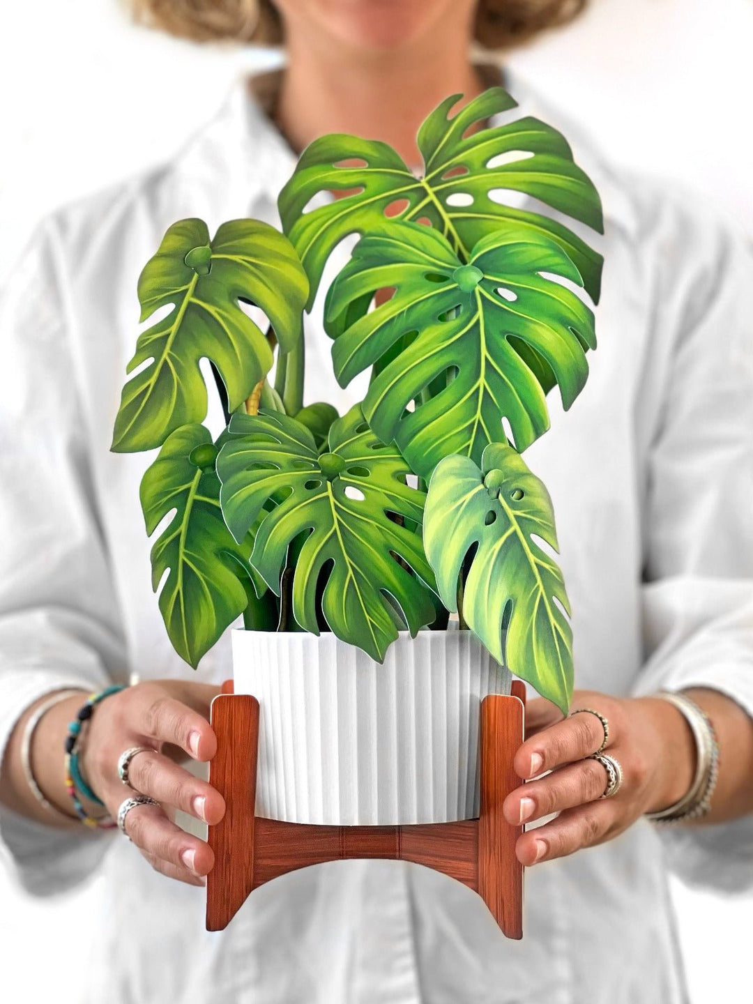 Monstera Plant - FreshCut Paper