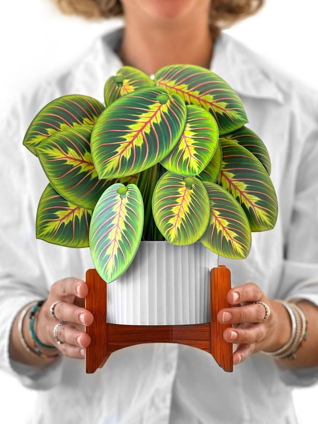 Prayer Plant - FreshCut Paper