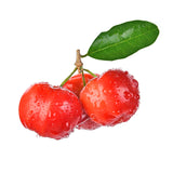 Acerola Kirsche mit Vitamin C