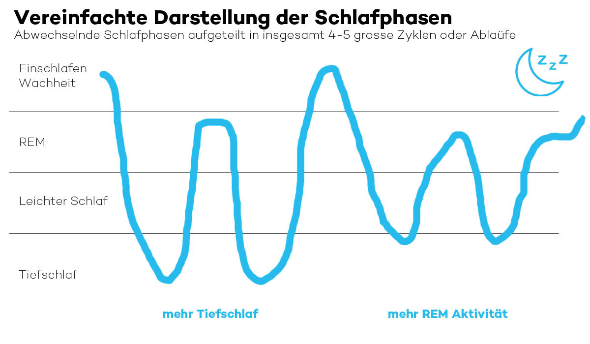 Die 4 Schlafphasen und Zyklen