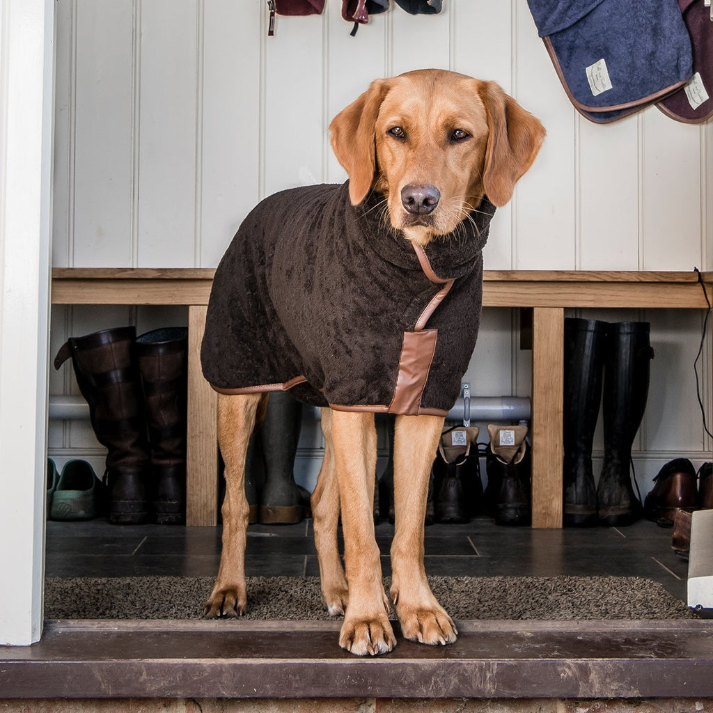 dog jacket rain