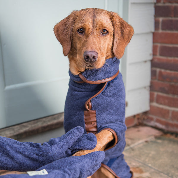 customer is always right dog drying coat