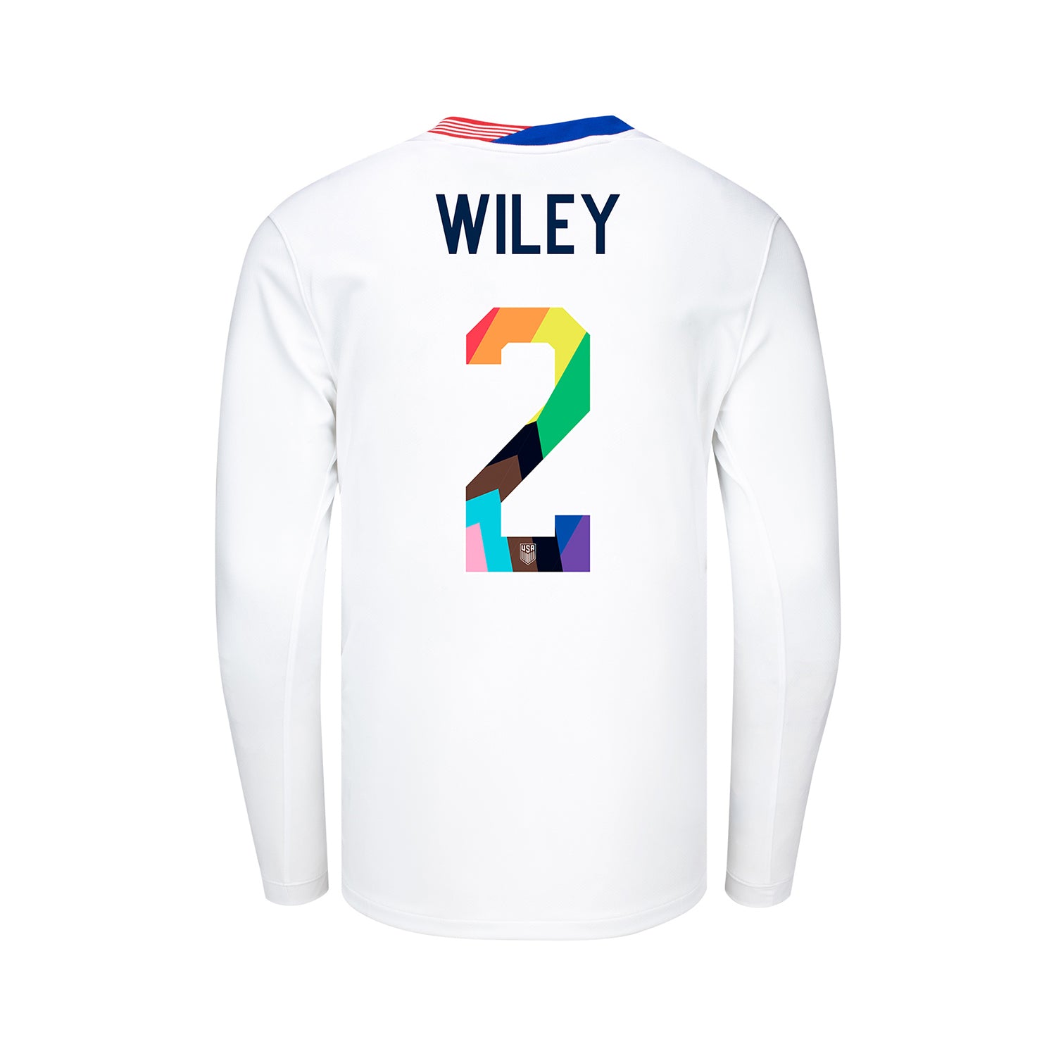 Youth Nike USMNT 2024 Personalized Pride Home Stadium Long Sleeve Jersey - Back View