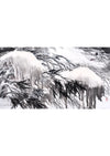 《雪地雙熊》 國畫  藝術微噴  鏡框裱
