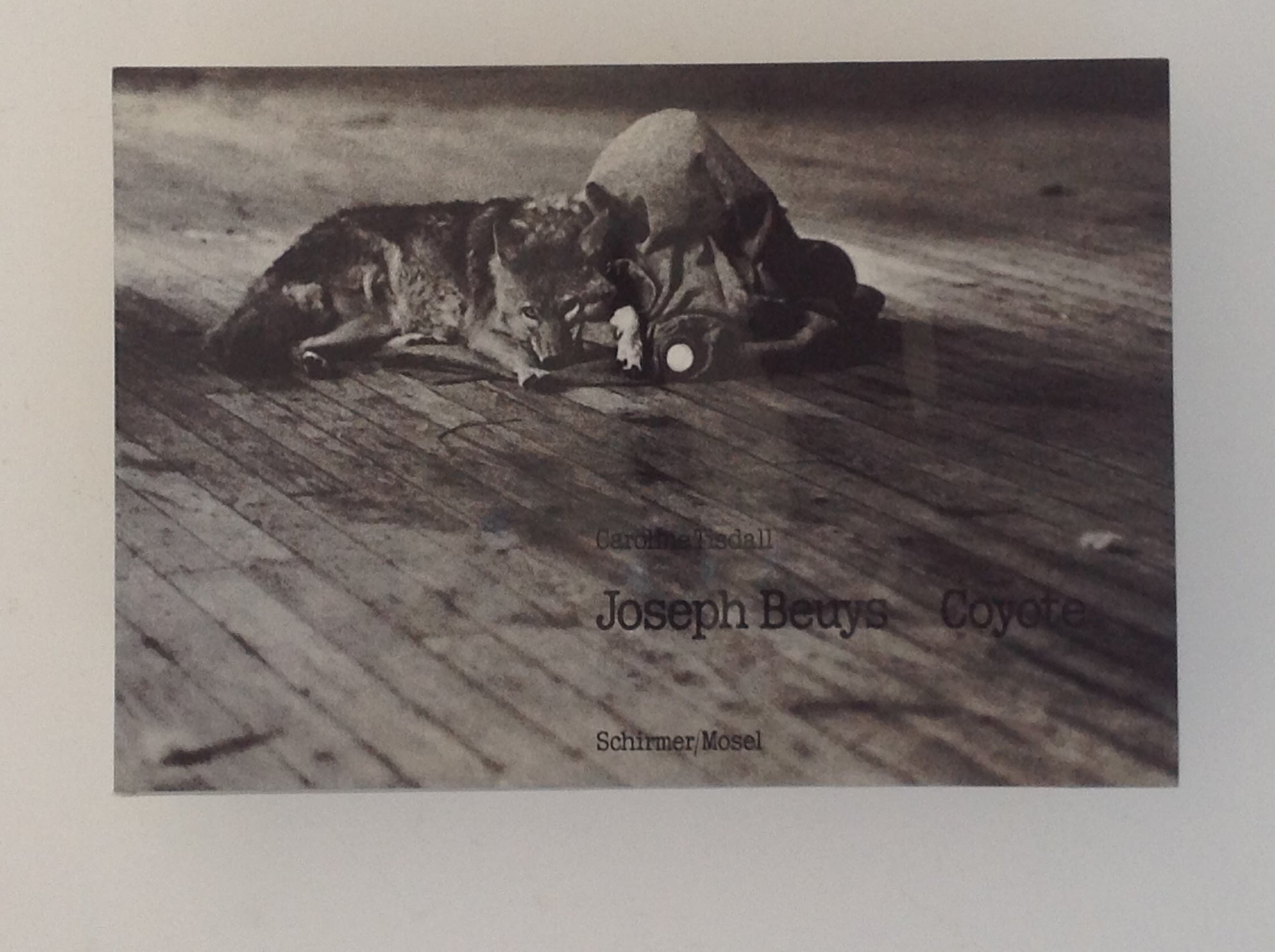 他店圧倒価格♪最安値に挑戦！ JOSEPH BEUYS COYOTE Caroline BEUYS