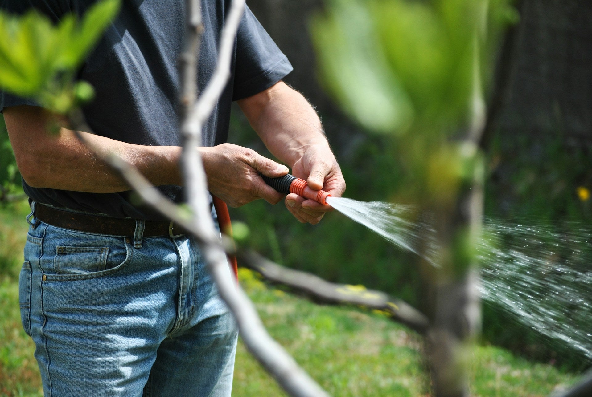 Garden Tools