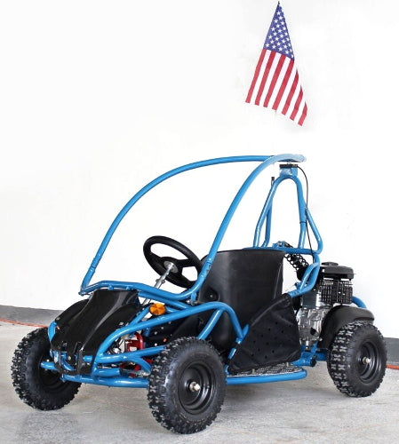 kids gas dune buggy