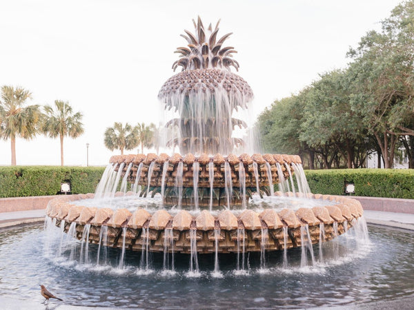 charleston sc pineapple fountain