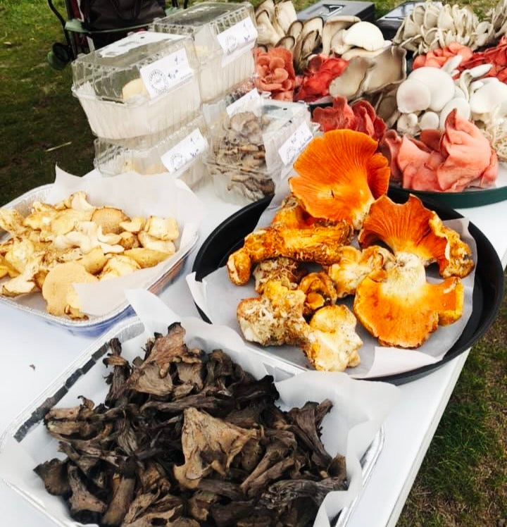 Superior Mycology mushrooms at the Calumet Farmers Market