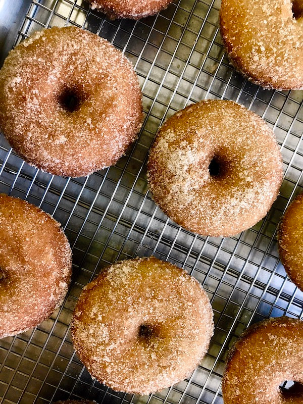 Apple cider doughnuts at Keweenaw Coffee Works