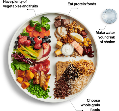 a plate of food showing nutritional portions