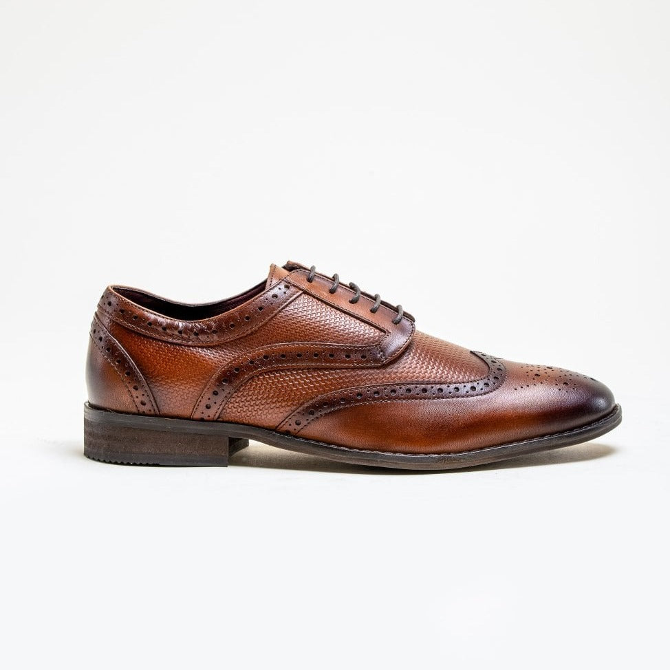 HOUSE OF CAVANI Orleans Brogues Shoe - TAN Browns – DesignerMenswear