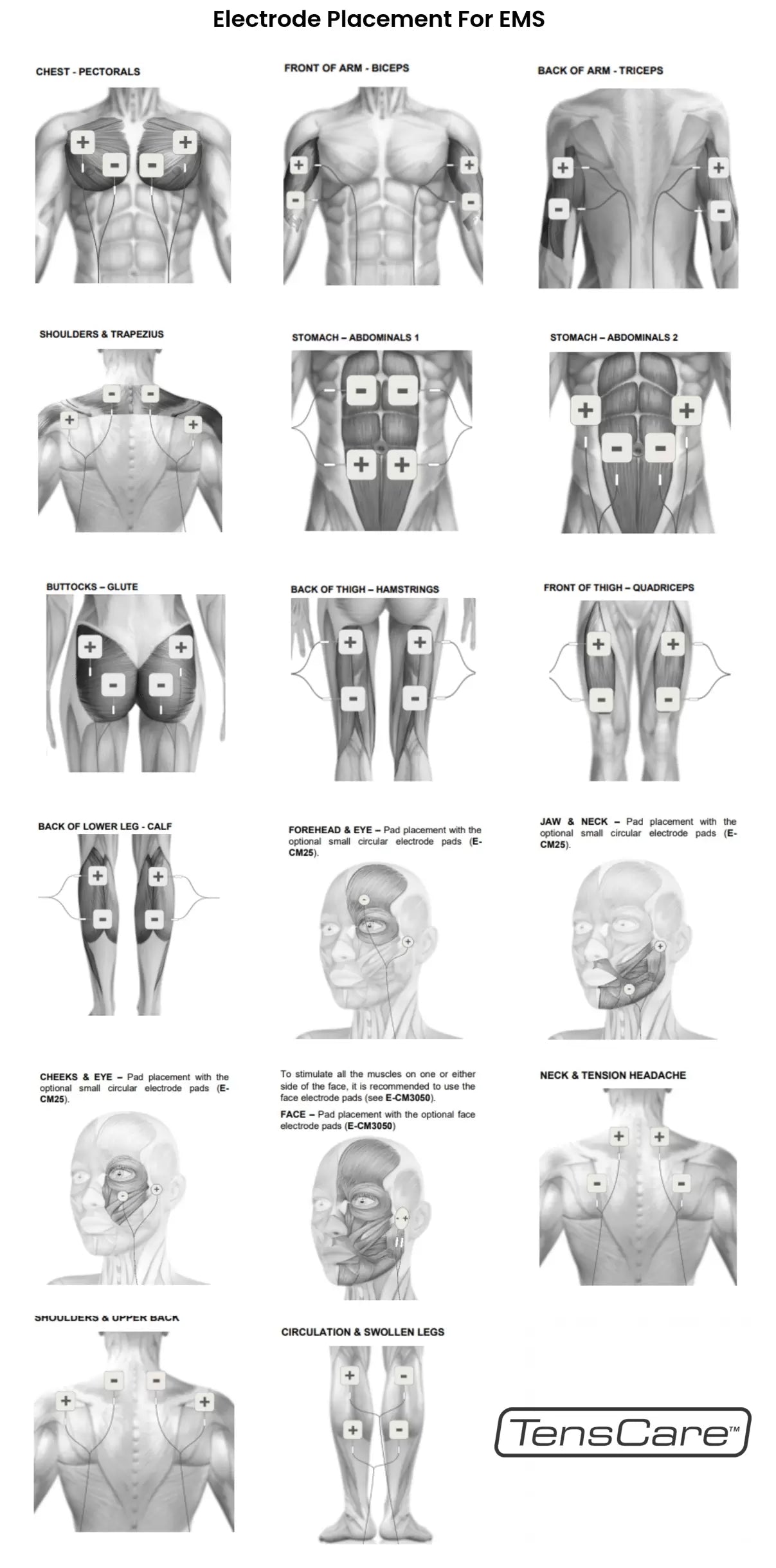 StimRx Electronic Muscle Stimulation (EMS) - Pad Placement Charts