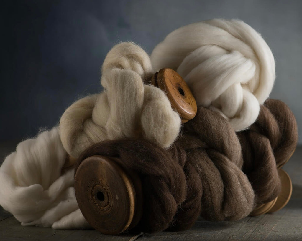 Raw wool fiber Vitale Barberis Canonico
