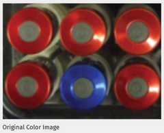 Original Color Image for Bandpass Filtering